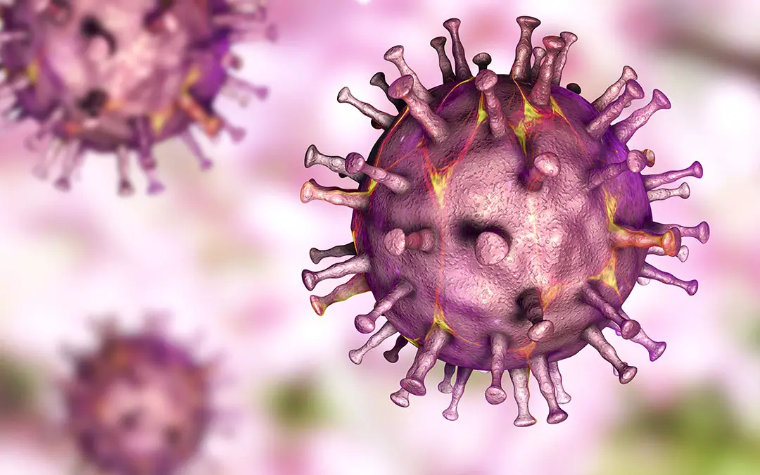 African Swine Fever Virus