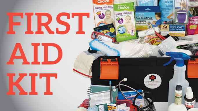 Horse First Aid Kit Items