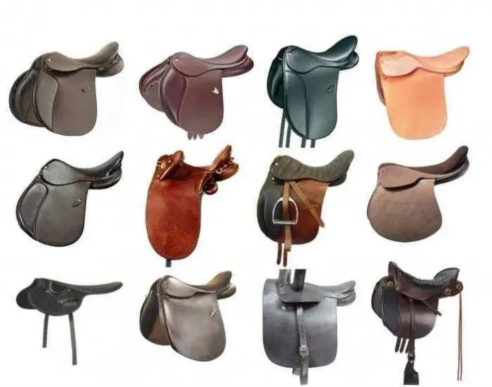 Types of saddle