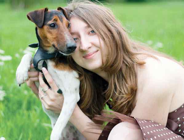 Smooth Fox Terrier