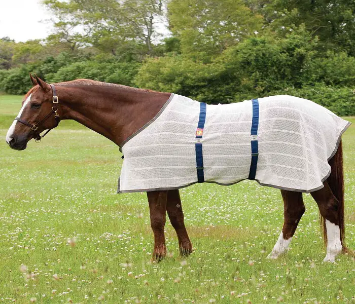 Anti-sweat Horse Blanket