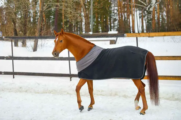 Cooler or Mantle Blanket