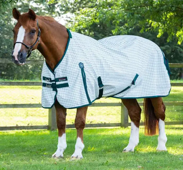 Cotton Sheets for Horse Blanket