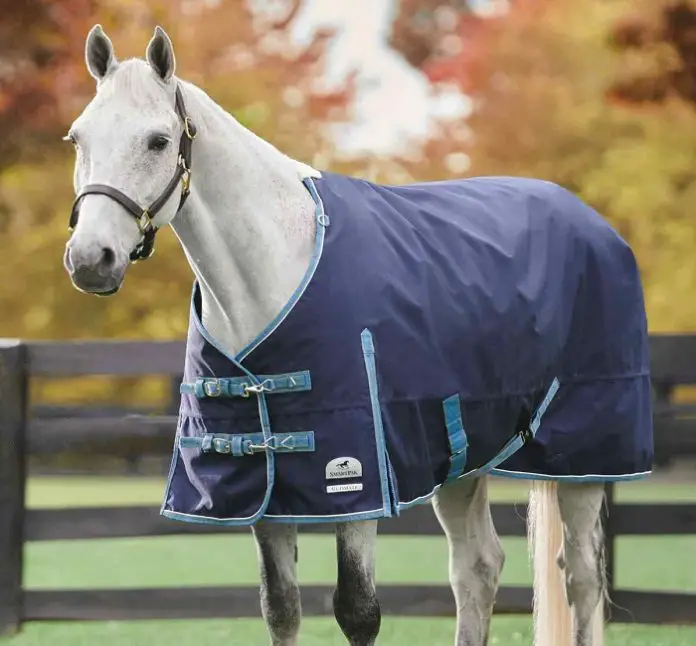 Horse Blanket