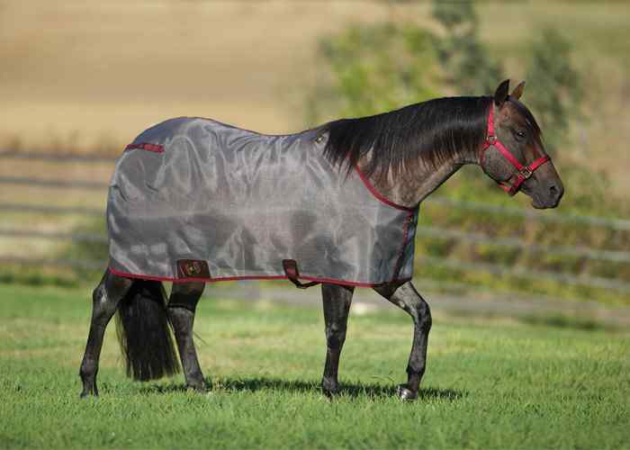 Horse Blanket -Mesh Sheets