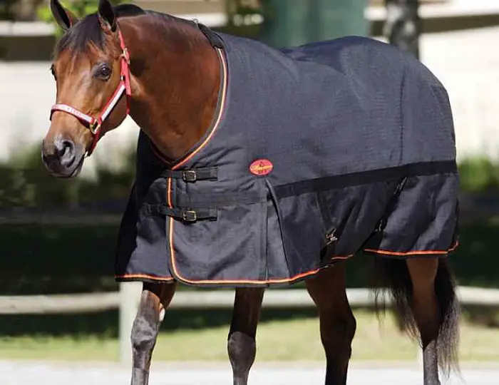 Stable Blanket