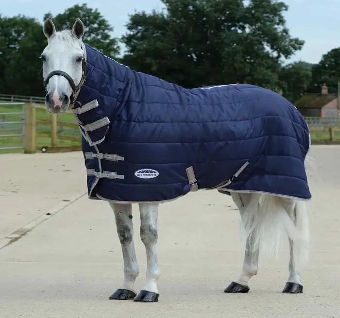 Turnout Blanket