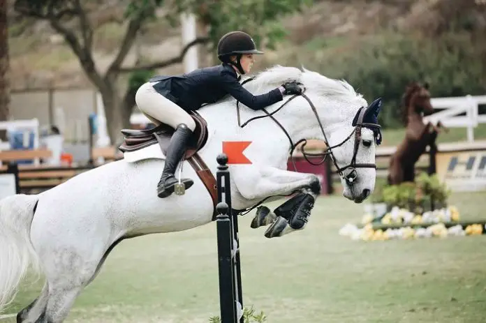 Jumping by Oldenburg Horse