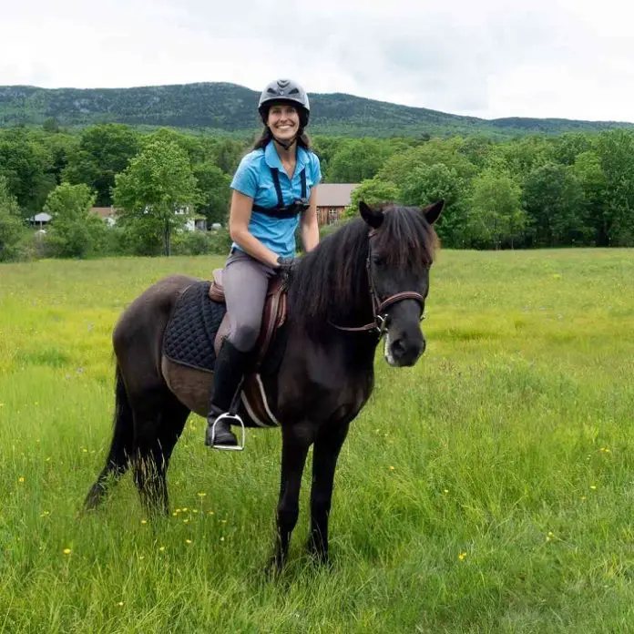Rare Newfoundland Pony
