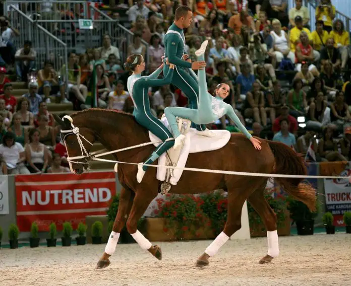 Horse Vaulting