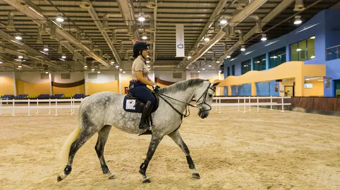 Key Features of Equestrian Clubs