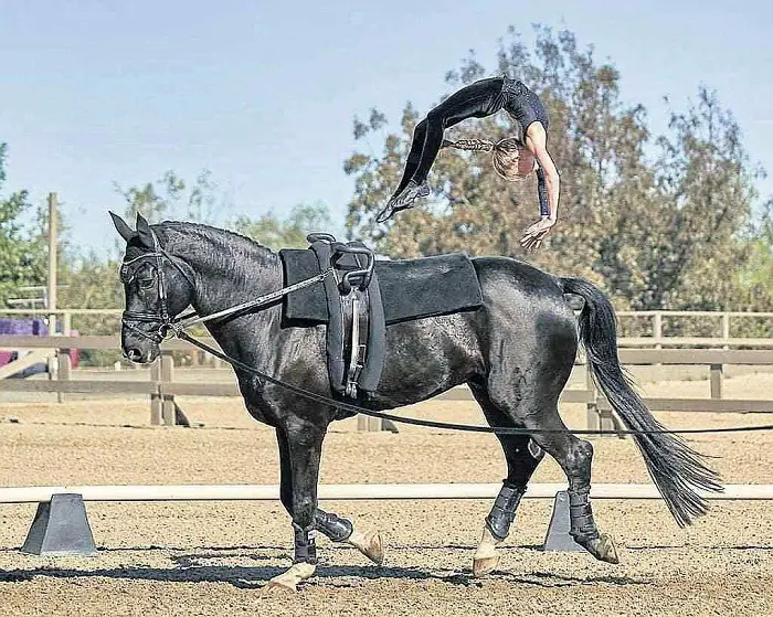 Rules of Equestrian Vaulting