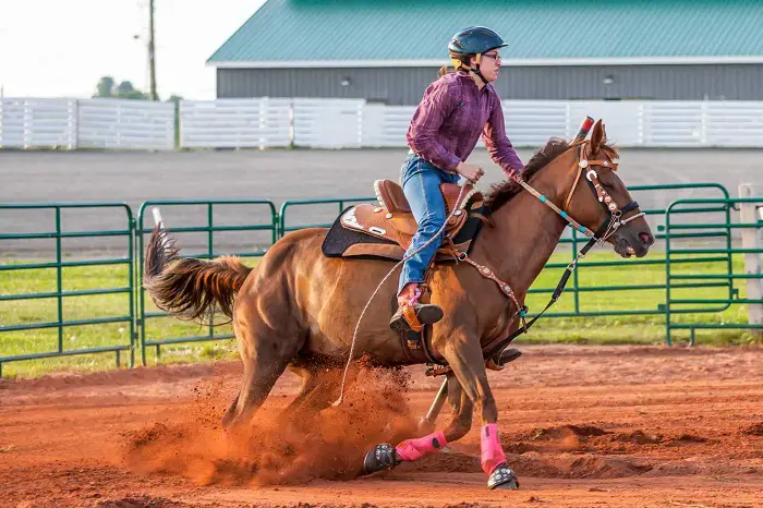 Western Horse Riding