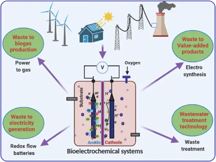Bioelectrochemistry