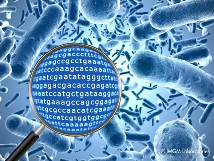 What is Metagenomics